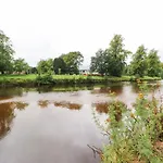 Pine Appleby-in-Westmorland