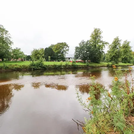 Pine Appleby-in-Westmorland
