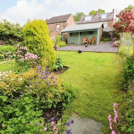 Semesterbostad Pine *