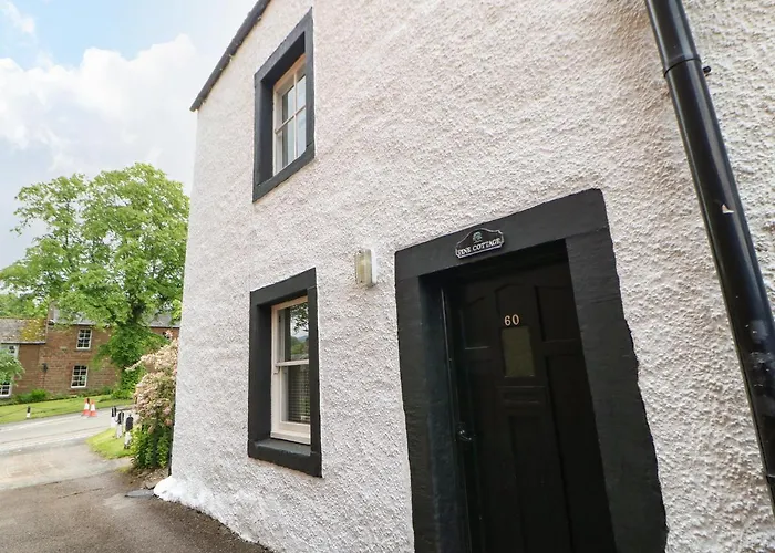 Pine Semesterbostad *