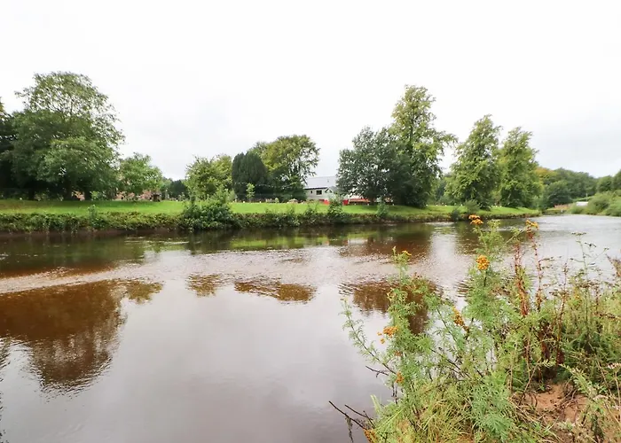Pine Appleby-in-Westmorland