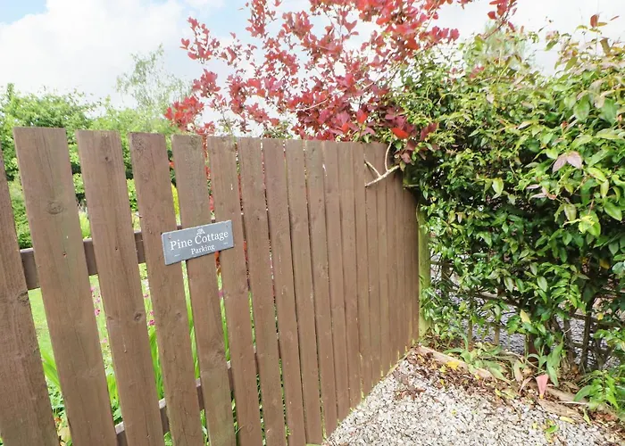 Semesterbostad Pine *